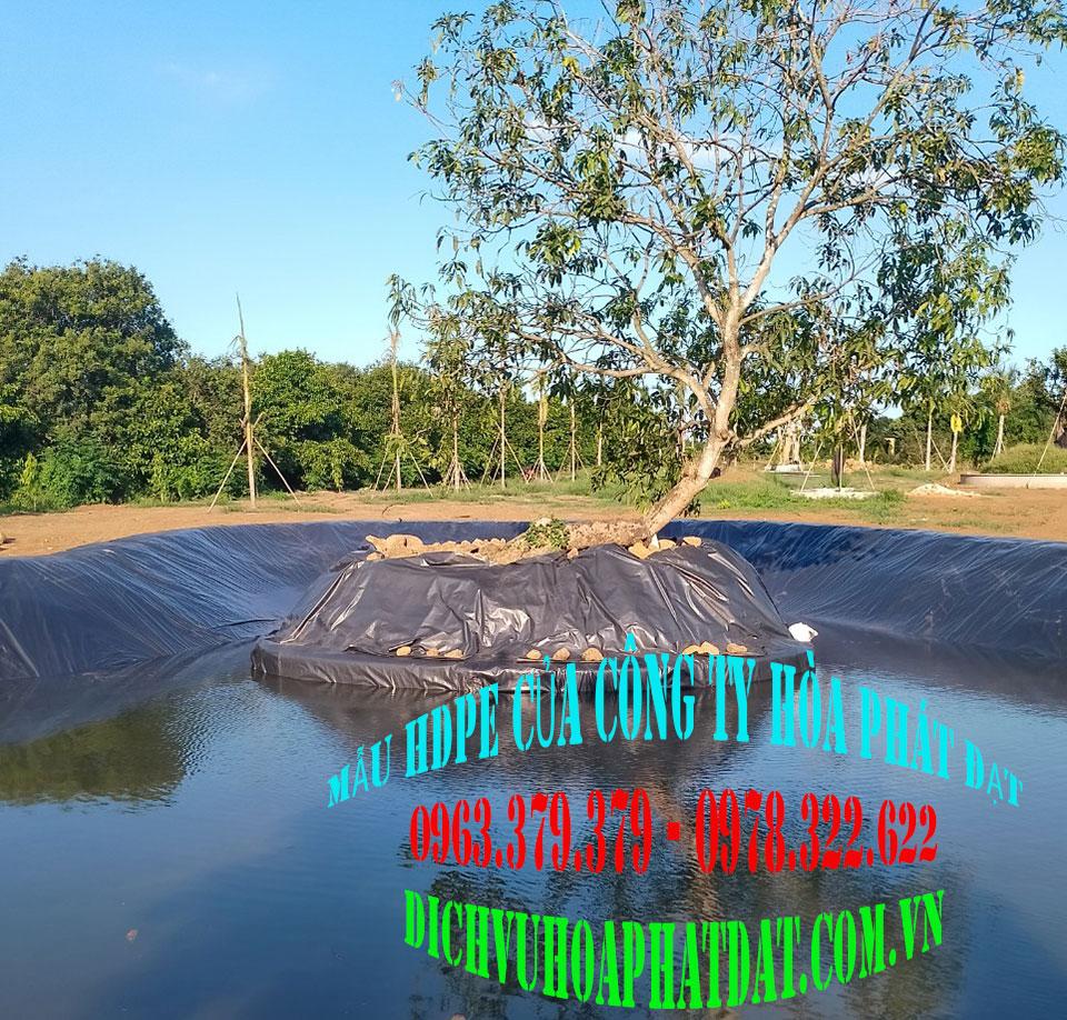 Alt text cho màng chống thấm HDPE bảo vệ mặt đất, ứng dụng trong các công trình thân thiện với môi trường như hồ chứa nước sạch và khu xử lý chất thải